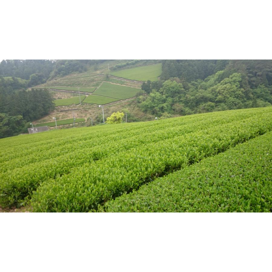 ＜小栗農園＞彩り香る茶ギフト（煎茶・ほうじ茶ミックス）白桃・ゆず・ぶどう・キャラメル・はちみつ・ライチ各１袋